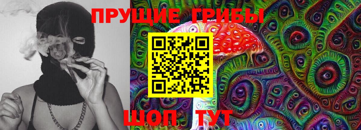 Галлюциногенные грибы прущие грибы  Вход с VPN  Красный Сулин 