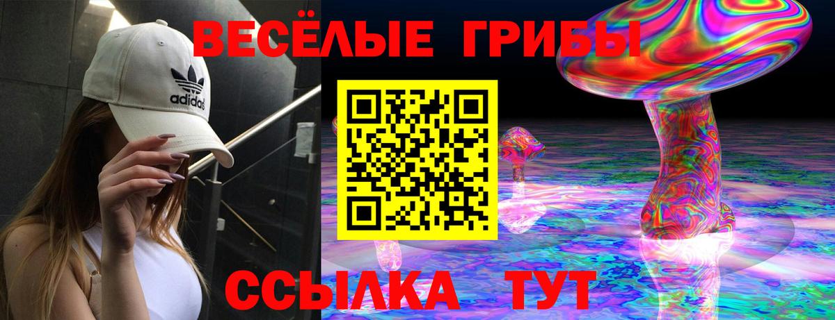 Галлюциногенные грибы Cubensis Красный Сулин